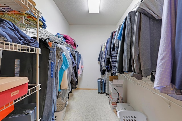 8207 Norman Creek Trl, Bloomington, MN 55437 - view of walk in closet