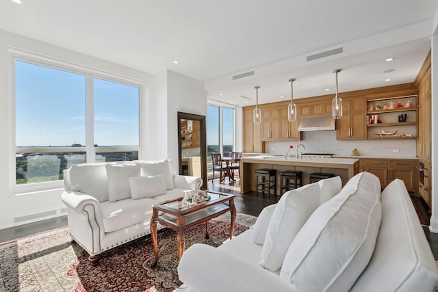1111 River Pkwy Unit 24C, Minneapolis, MN 55415 - living room with healthy amount of natural light, dark wood-style flooring, and recessed lighting