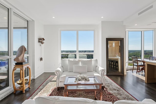 1111 River Pkwy Unit 24C, Minneapolis, MN 55415 - living room featuring plenty of natural light and dark wood-style flooring