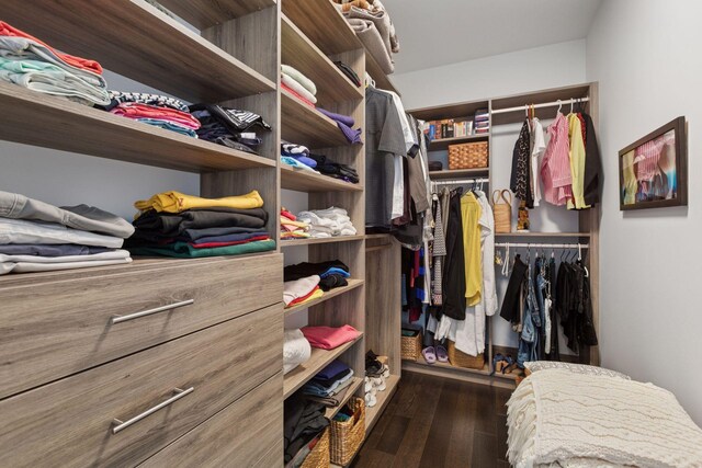 1111 River Pkwy Unit 24C, Minneapolis, MN 55415 - spacious closet featuring dark wood finished floors
