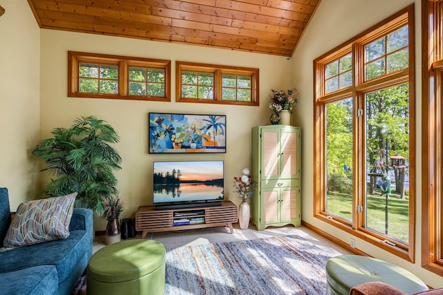 209 9 1/2 Ave, Turtle Lake, WI 54889 - tiled living area featuring wood ceiling, vaulted ceiling, and baseboards