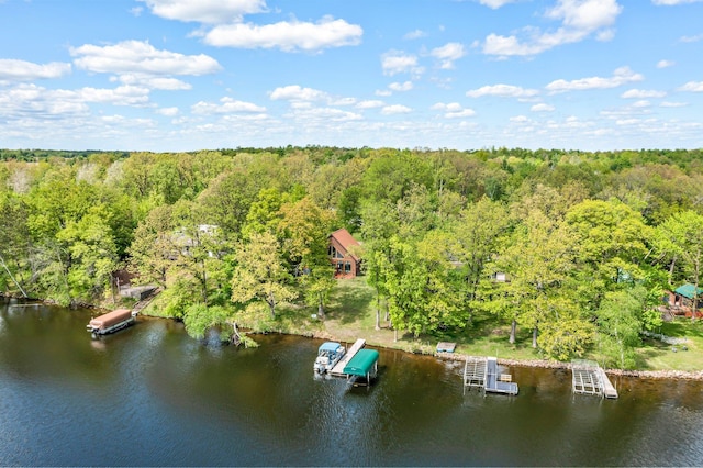 209 9 1/2 Ave, Turtle Lake, WI 54889 - bird's eye view of a forest and a large body of water