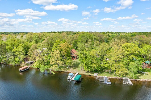 209 9 1/2 Ave, Turtle Lake, WI 54889 - aerial view of a forest and a large body of water