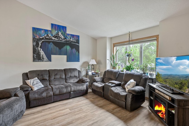 604 Brookview Ln SW, Isanti, MN 55040 - living room with wood finished floors, vaulted ceiling, and a textured ceiling