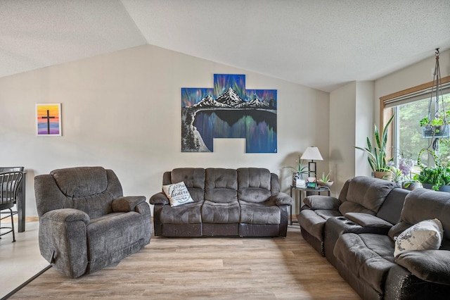 604 Brookview Ln SW, Isanti, MN 55040 - living area featuring lofted ceiling, a textured ceiling, and wood finished floors