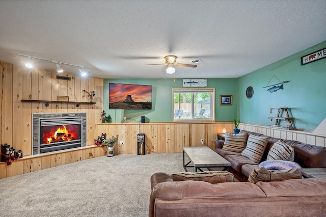 604 Brookview Ln SW, Isanti, MN 55040 - living area with wood walls, carpet flooring, track lighting, a ceiling fan, and a textured ceiling