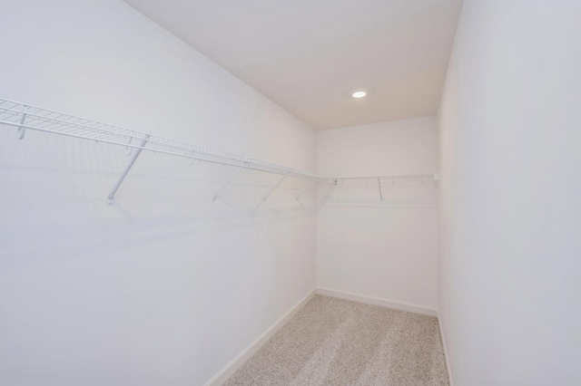 spacious closet with light carpet