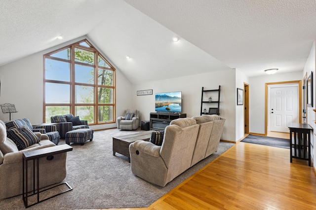 25306 Csah 4, Dassel Twp, MN 55325 - living area with wood finished floors, lofted ceiling, a textured ceiling, and baseboards