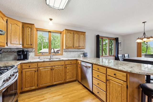 25306 Csah 4, Dassel Twp, MN 55325 - kitchen featuring stainless steel appliances, a peninsula, a sink, light wood-style flooring, and plenty of natural light