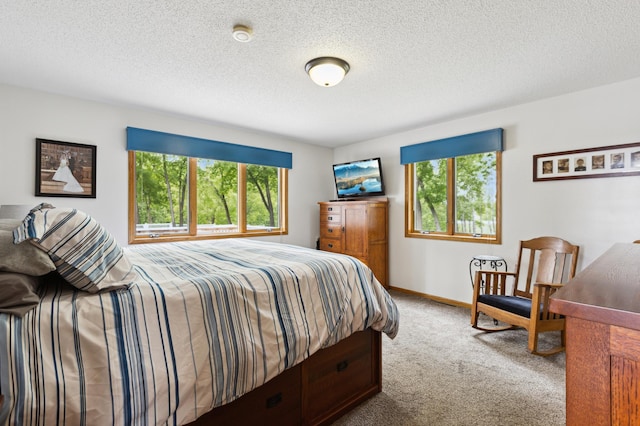 25306 Csah 4, Dassel Twp, MN 55325 - carpeted bedroom with multiple windows, a textured ceiling, and baseboards