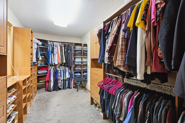 25306 Csah 4, Dassel Twp, MN 55325 - spacious closet featuring carpet