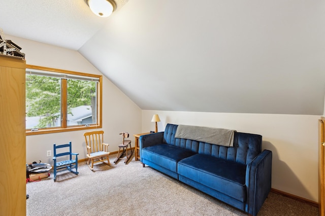 25306 Csah 4, Dassel Twp, MN 55325 - carpeted living area featuring lofted ceiling and baseboards