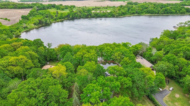 25306 Csah 4, Dassel Twp, MN 55325 - drone / aerial view of a large body of water