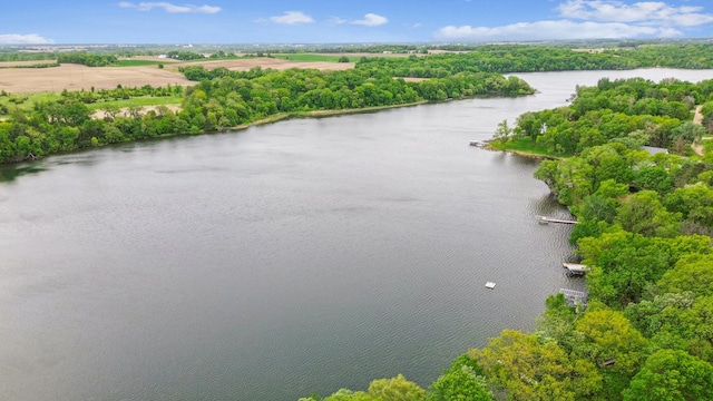 25306 Csah 4, Dassel Twp, MN 55325 - bird's eye view of a large body of water