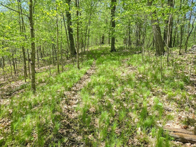 TBD 470th St, Vergas, MN 56587