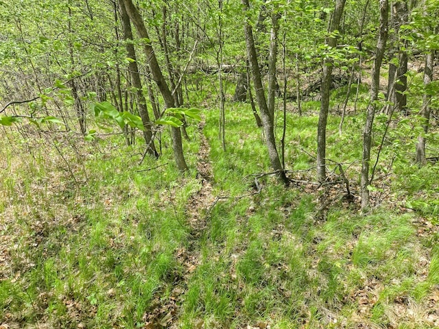 TBD 470th St, Vergas, MN 56587