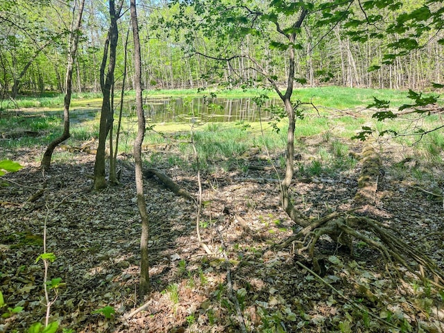 TBD 470th St, Vergas, MN 56587