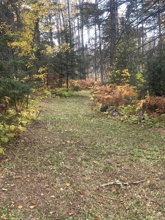 21 Brandon Ln, Grand Marais, MN 55604 - view of yard