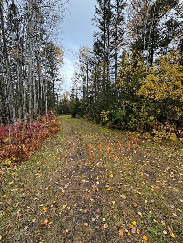 21 Brandon Ln, Grand Marais, MN 55604 - view of road