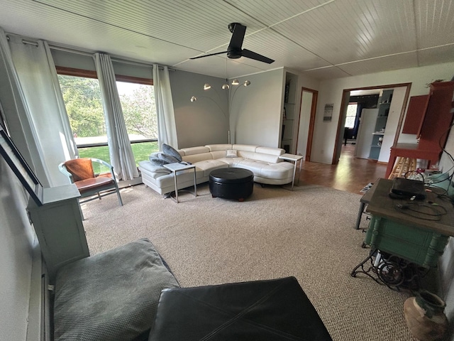 518 Main St W, Kelliher, MN 56650 - photo 10