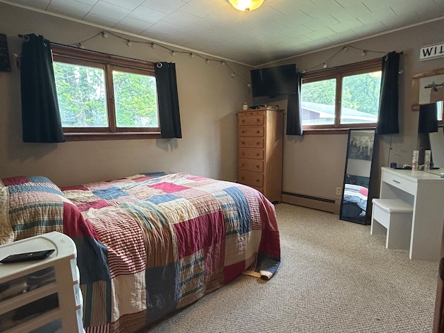 518 Main St W, Kelliher, MN 56650 - photo 14
