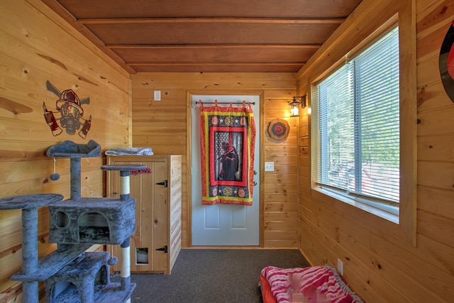6000 152nd St, Milaca, MN 56353 - exercise area with a wood stove, wooden walls, carpet floors, and wood ceiling