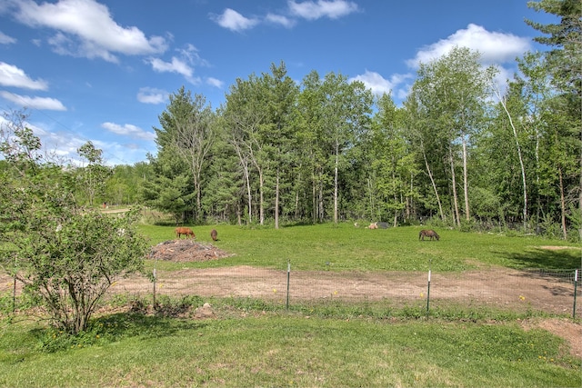 6000 152nd St, Milaca, MN 56353 - view of yard with a forest view