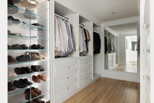 1397 Orono Ln, Orono, MN 55391 - walk in closet featuring light wood-style floors