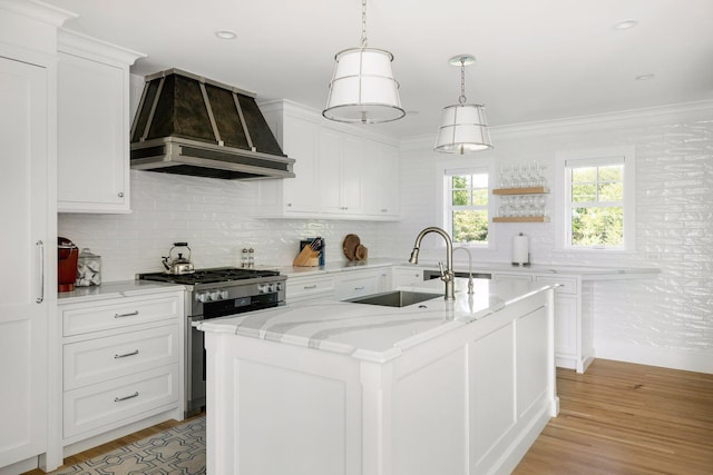 1397 Orono Ln, Orono, MN 55391 - kitchen with gas stove, custom range hood, a sink, light wood-style floors, and ornamental molding