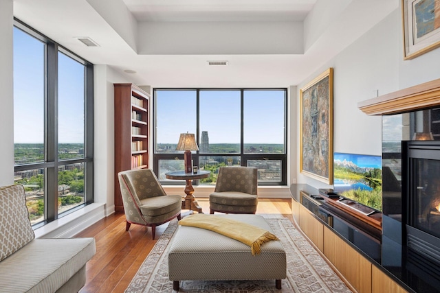 100 3rd Ave S Unit 3301, Minneapolis, MN 55401 - living area with a tray ceiling and wood finished floors