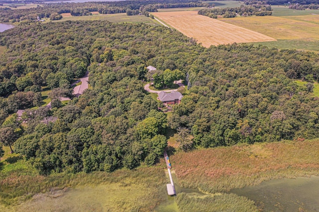 8599 County Road 21 SW, Alexandria, MN 56308 - bird's eye view of a forest and a large body of water