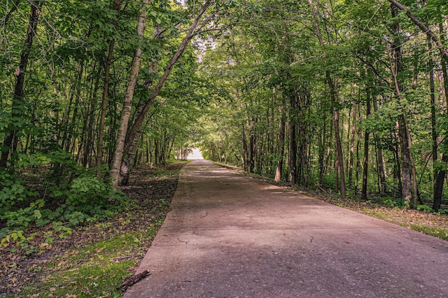 8599 County Road 21 SW, Alexandria, MN 56308 - surrounding community featuring a view of trees and driveway