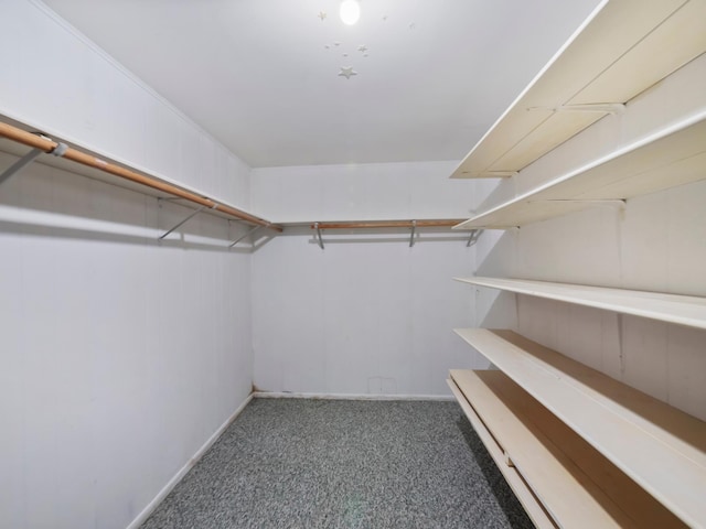 835 Winona Dr SW, Alexandria, MN 56308 - walk in closet with carpet floors