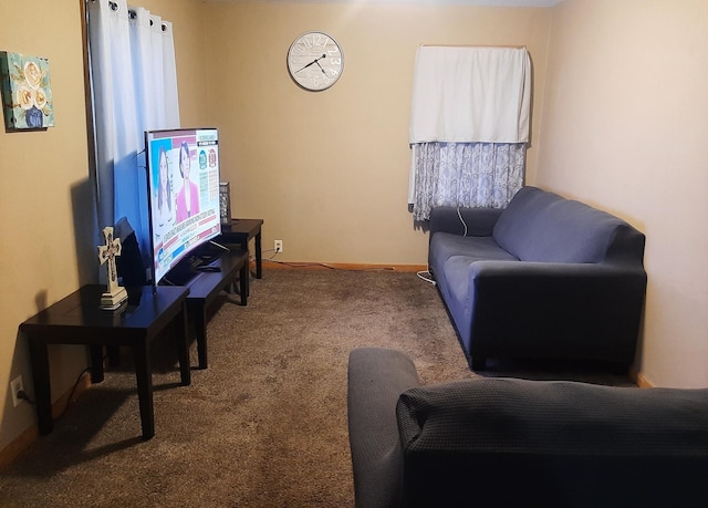 207 7th Ave S, Saint James, MN 56081 - view of carpeted living room