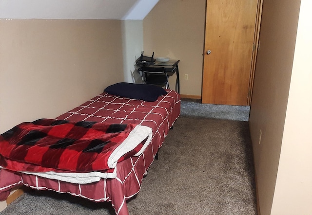 207 7th Ave S, Saint James, MN 56081 - view of carpeted bedroom