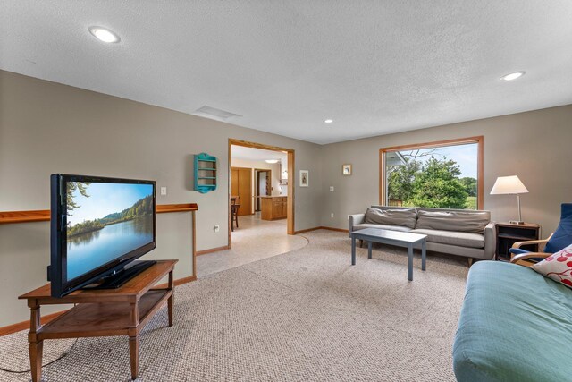 1231 135th St, Amery, WI 54005 - living area featuring a textured ceiling, recessed lighting, and light carpet