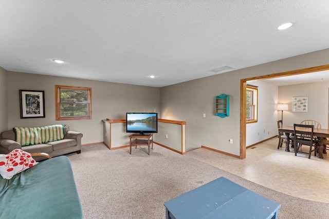 1231 135th St, Amery, WI 54005 - living room with a textured ceiling and recessed lighting