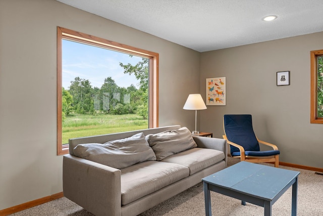 1231 135th St, Amery, WI 54005 - carpeted living area featuring baseboards and recessed lighting
