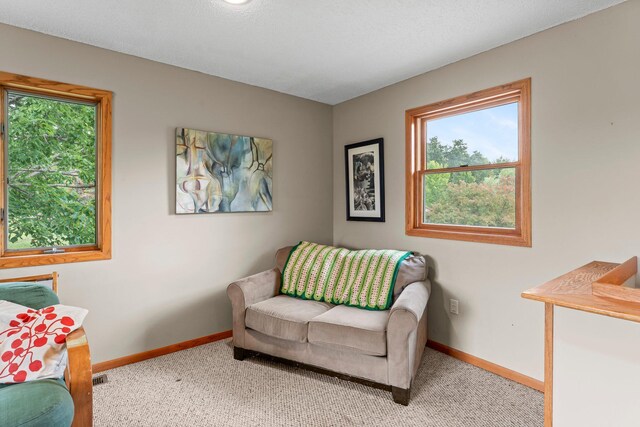 1231 135th St, Amery, WI 54005 - sitting room featuring carpet