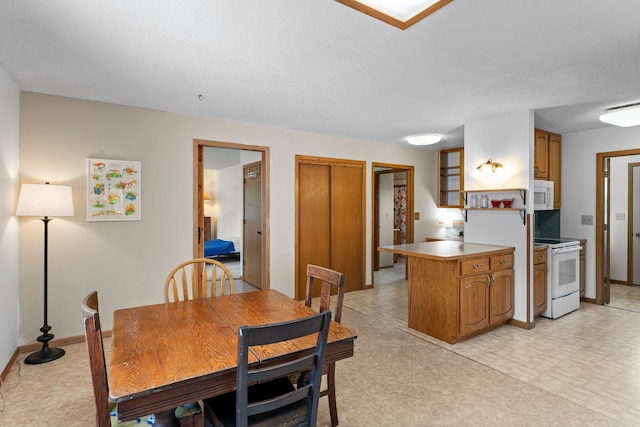 1231 135th St, Amery, WI 54005 - dining area with baseboards and a textured ceiling