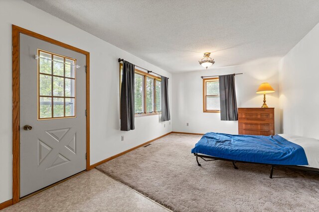 1231 135th St, Amery, WI 54005 - bedroom with carpet flooring and a textured ceiling