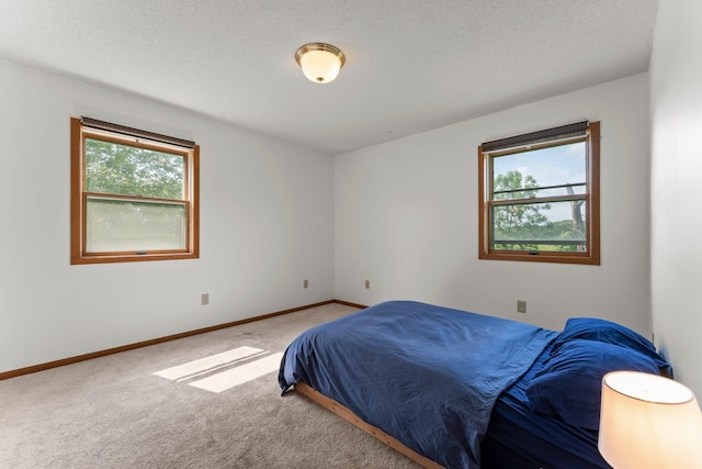 1231 135th St, Amery, WI 54005 - carpeted bedroom with a textured ceiling