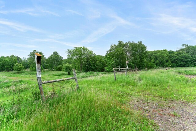 1231 135th St, Amery, WI 54005 - view of yard with a view of trees and a view of rural / pastoral area