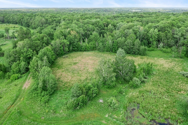 1231 135th St, Amery, WI 54005 - aerial overview of property's location featuring a forest
