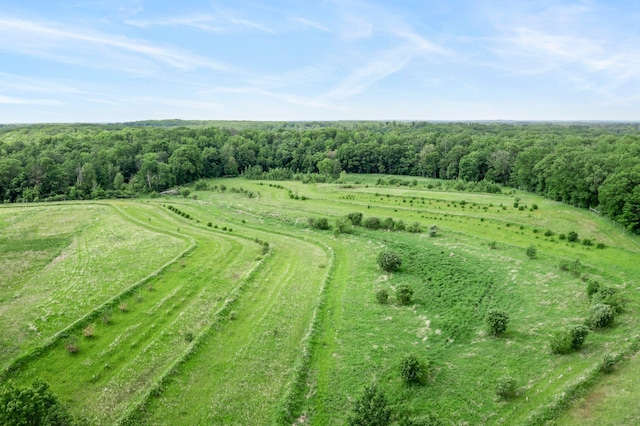 1231 135th St, Amery, WI 54005 - aerial view of sparsely populated area featuring a forest
