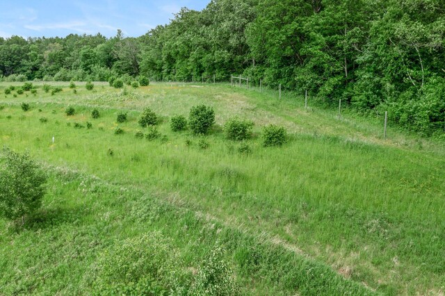 1231 135th St, Amery, WI 54005 - view of wooded area with a view of countryside