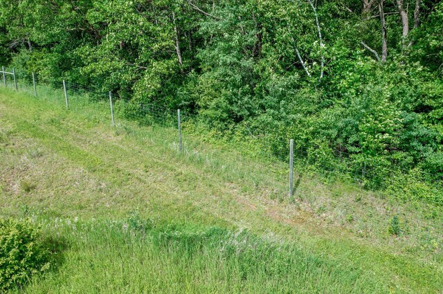 1231 135th St, Amery, WI 54005 - view of nature
