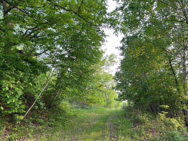 1231 135th St, Amery, WI 54005 - view of local wilderness