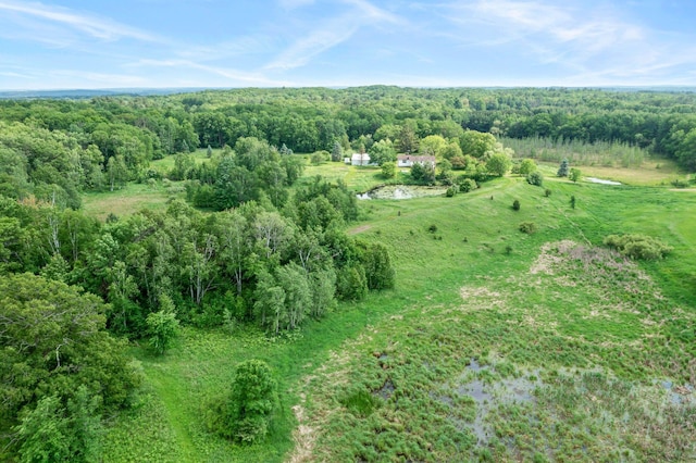 1231 135th St, Amery, WI 54005 - aerial view of property's location featuring a forest and rural landscape