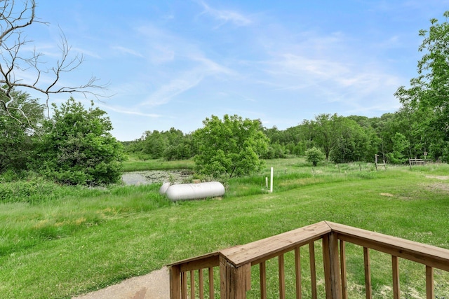 1231 135th St, Amery, WI 54005 - view of yard